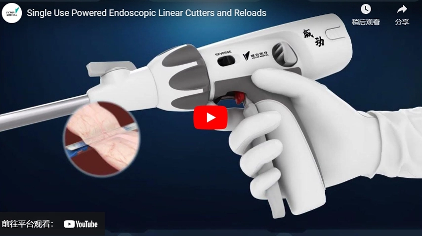 Powered Endoscopic Linear Cutter Stapler— VicPower