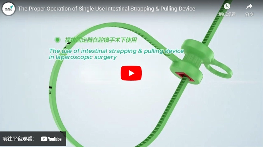 The Proper Operation of Single Use Intestinal Strapping & Pulling Device